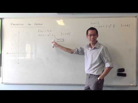 Primitive Functions: Evaluating the Constant