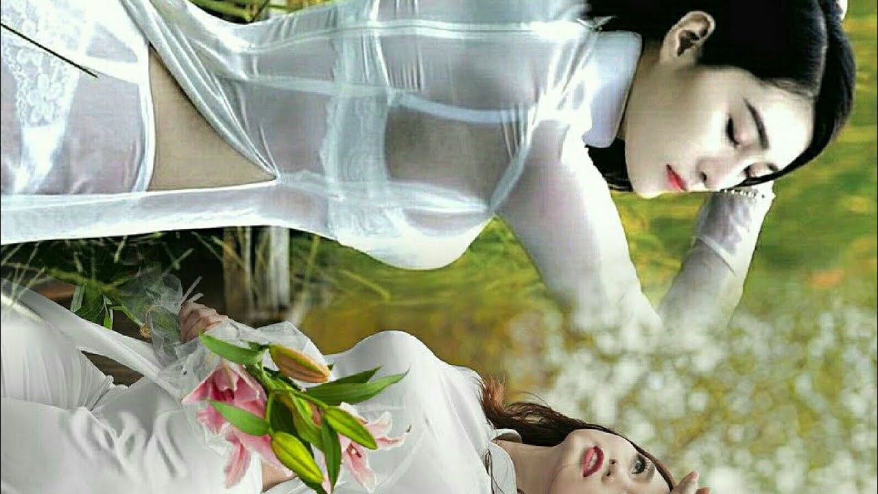 video 873 giải tri lồng nhạc dành cho các bạn yêu... - youtube