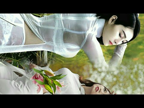 Video video 873 giải tri lồng nhạc dành cho các bạn yêu... - youtube