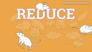 Das 3R-Prinzip: Replace Reduce Refine