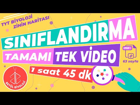 Sınıflandırma Tekrar | TAMAMI TEK VİDEO + PDF (63 sayfa özel notlar) | TYT Biyoloji Konu Anlatımı