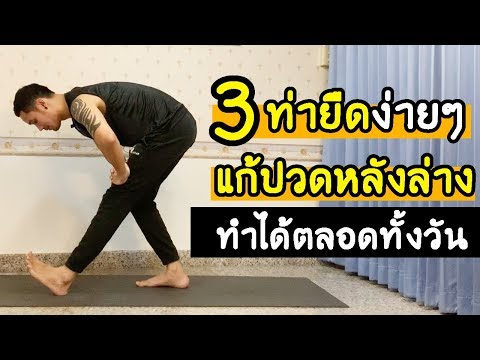 3 ท่ายืดโยคะ แก้ปวดหลังล่าง แก้ออฟฟิศซินโดรม Basic Yoga for Lower Back Pain I kiartyoga