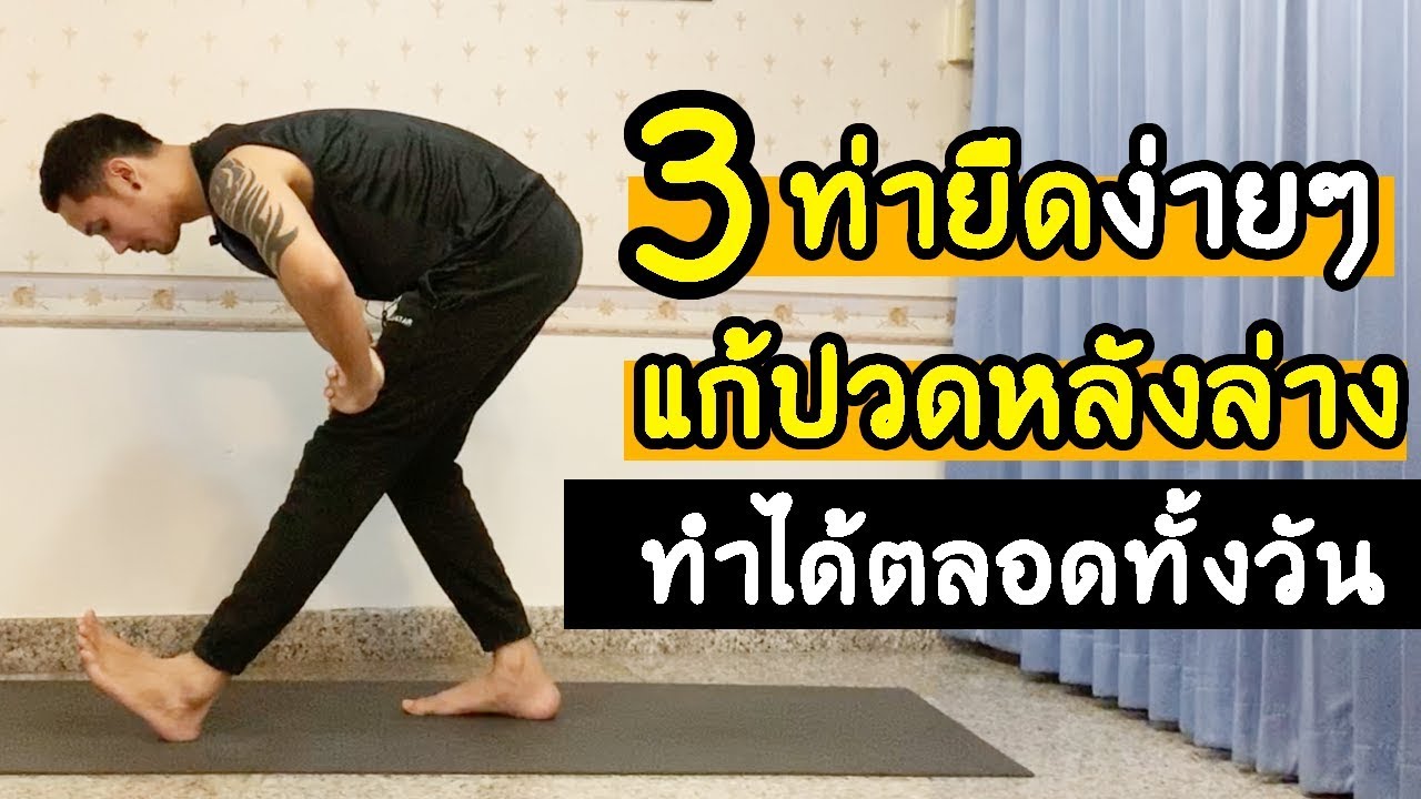 3 ท่ายืดโยคะ แก้ปวดหลังล่าง แก้ออฟฟิศซินโดรม Basic Yoga For Lower Back Pain  I Kiartyoga - Youtube