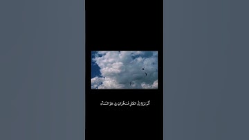 أَلَمْ يَرَوْا إِلَى الطَّيْرِ مُسَخَّرَاتٍ فِي جَوِّ السَّمَاءِ #سورة_النحل