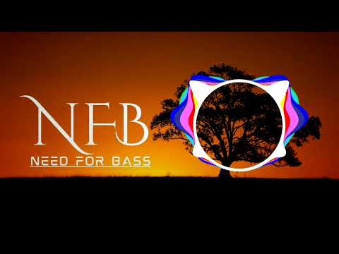 Wiguez - VBM (ft. P-One) | DnB | NFB - Copyright Free Music