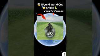 ⁣🥶Ohh I Found Werid Cat Snake 🐍 on google map 🗺️ #shots #datavictor
