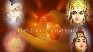 ஆத்மாவின் ஜந்து சொருப பயிற்சி | Five forms of the soul | இராஜயோக தியான வர்ணனை | Sister Muthumani