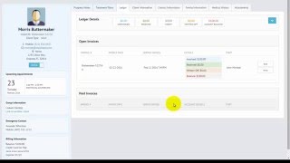 Introduction to Client Profiles in TherapyZen