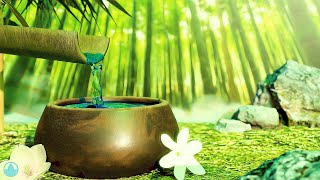 12 Hours Serene Bamboo Fountain Sounds and Relaxing Music for Stress Relief screenshot 5