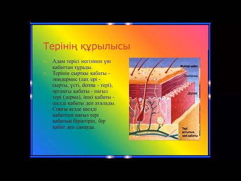 Бейне: Аурусыз теріні тартудың 3 әдісі