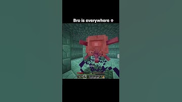 Minecraft wandering trader moment #shorts