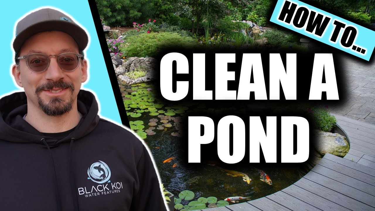 How To Clean A Pond YouTube