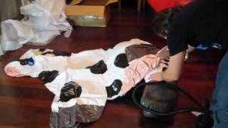 Unboxing and inflating my cows