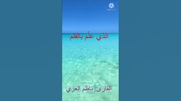 القارئ ناظم العزي