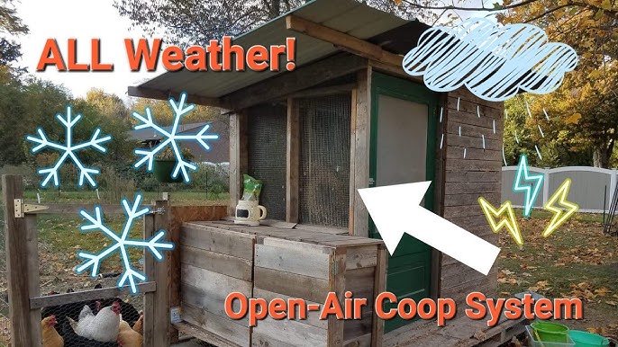 How to Winterize the Chicken Coop: 4 Steps for Success – Backyard