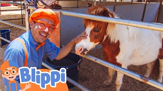 Meet a Pony and Ride Horses! | Blippi|  🔤 Moonbug Subtitles 🔤 | Learning Videos