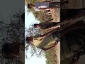 playing cricket with friends and dogayes Bhai are taking ball and running see till last. #vloging .