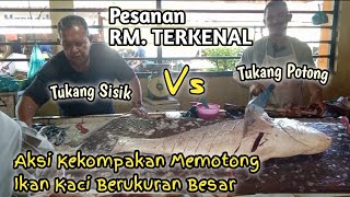 Lihat kecepatan skill menyisik ikan dan aksi memotong Ikan Kaci berukuran besar hasilnya menakjubkan