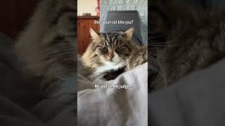 Or Is It His Im-In-Love-With-You Look?