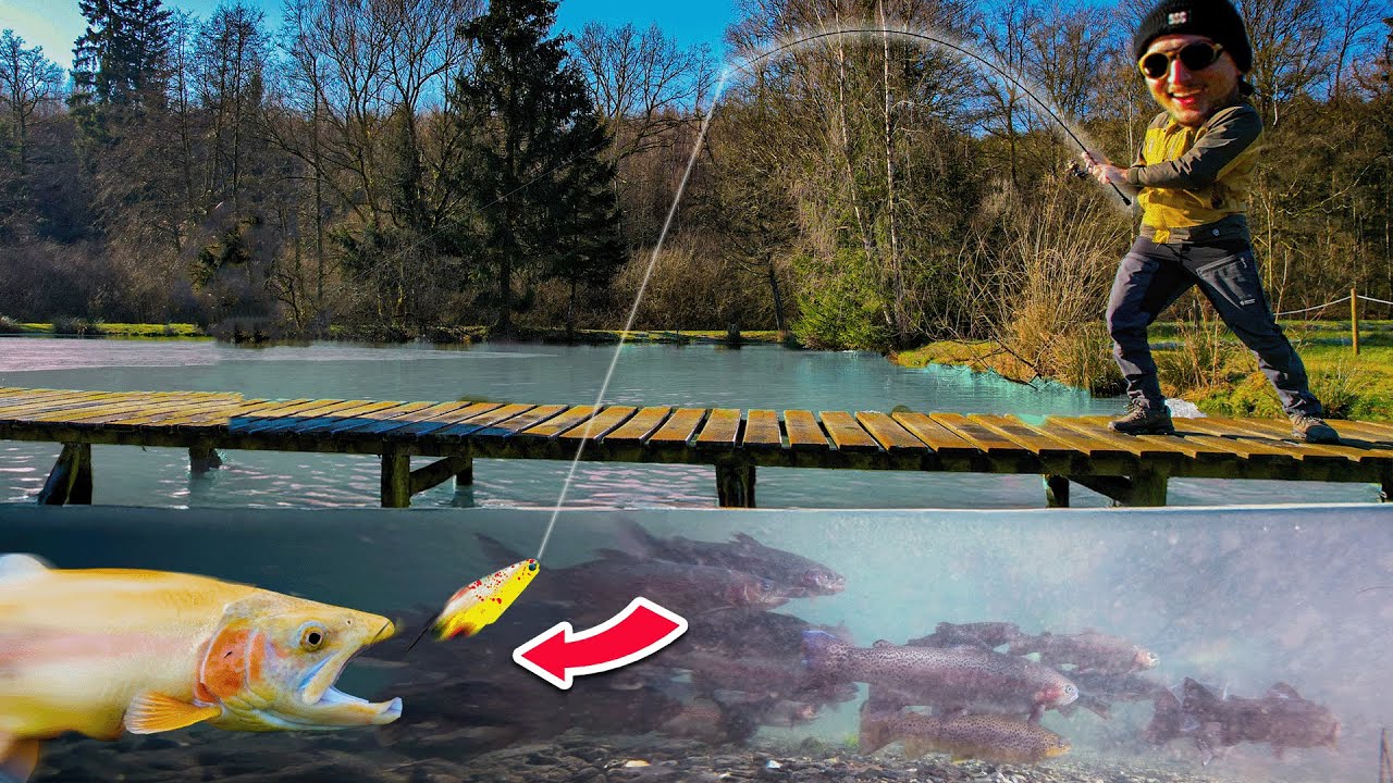 On PÊCHE des TRUITES ALBINOS  dans un ÉTANG INSOLITE ! 🎣🔥