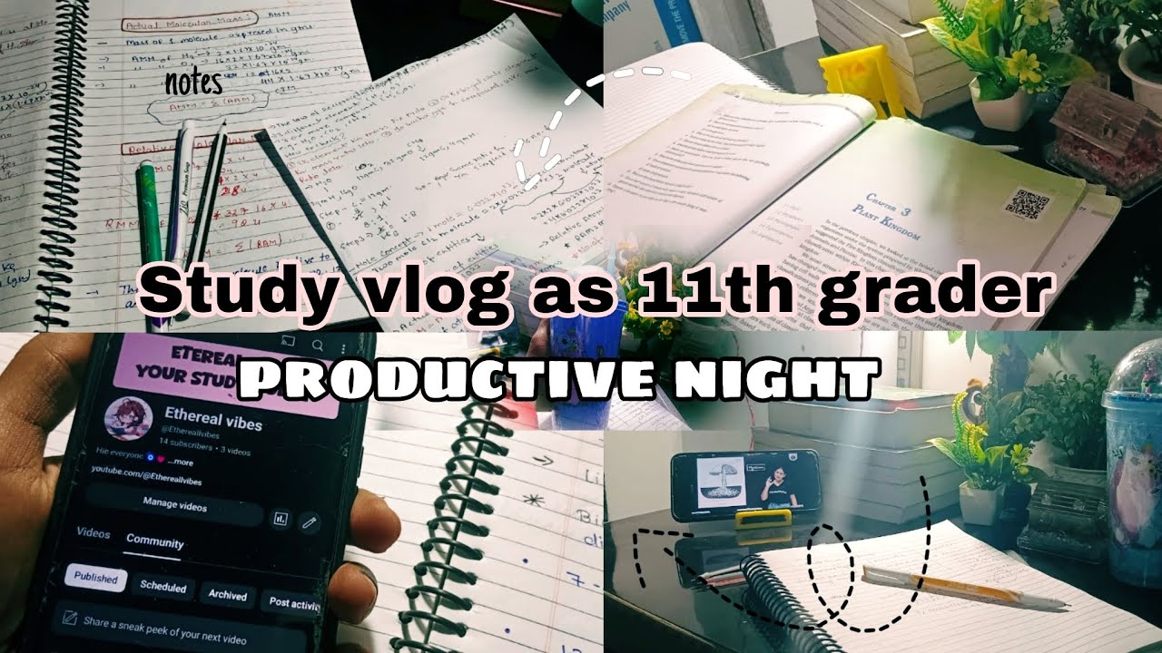 productive study vlog as 11th edition☘️🌻|| night study vlog📖 || study ...