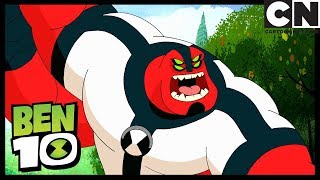 Мультфильм Ben Finds the Bug Brothers Heads of the Family Ben 10 Cartoon Network