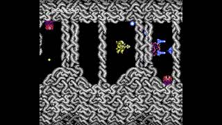Abadox Part 5: More Bullet Worms