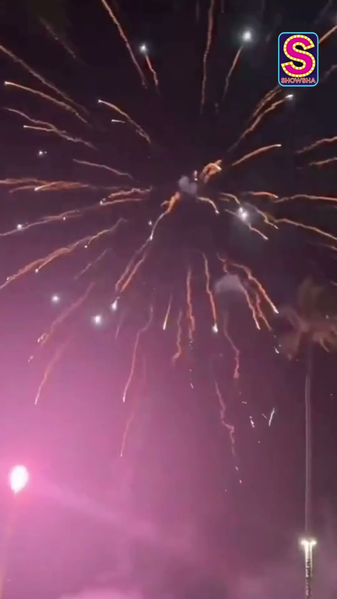 Ranbir Kapoor Celebrates New Year With Family Together | #trending #reels | N18S
