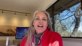 Celebrity The Attorney-Client Privilege Net Worth