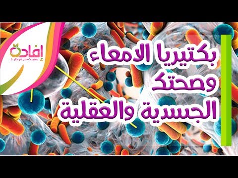 كيف تؤثر بكتيريا الأمعاء على صحتك الجسدية والعقلية