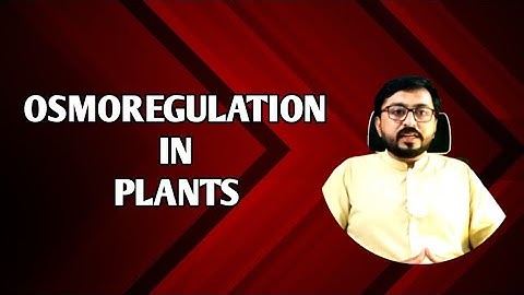 Osmoregulation in Plants Hydrophytes Mesophytes Xerophytes