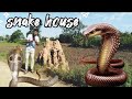 Snake house     beutiful snake house dev vaishnav vlog