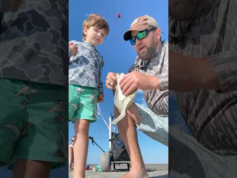 Flounder Fishing South Carolina!  #flounder #fishing g