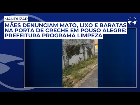 Mães denunciam mato, lixo e baratas na porta de creche em Pouso Alegre: Prefeitura programa limpeza