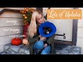 A Lot Has Changed - Let's Catch Up | Moving Across the Country | Getting a Puppy | and More...