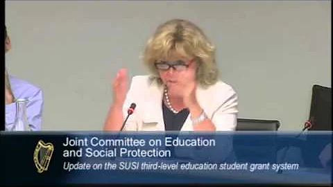 Senator Mary Moran speaking during the Joint Commi...