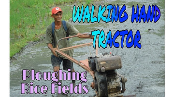 Walking Hand Tractor: Ploughing Rice Fields in Philippines