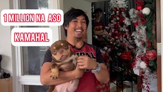 Aso na 1M ang halaga by Alvin Galo Costillas 5,000 views 1 year ago 3 minutes, 55 seconds