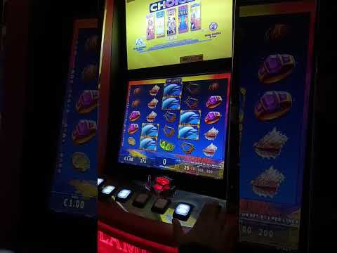 Gioca al meglio: Spinfest Casino Italia, il tuo casinò online nella tua lingua!