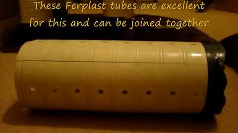 How to teach a pet rat the "Tunnel Fetch" trick