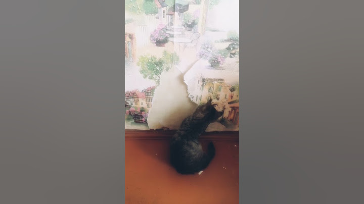 Кыса: Давно не меняли обои? Тогда я иду к вам😺 Часть1