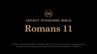 Romans 11 - Legacy Standard Bible (LSB) - Audio