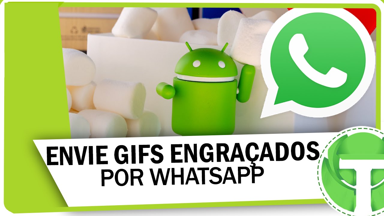 Veja como converter vídeos curtos para GIFs no WhatsApp - Reclame Aqui  Notícias