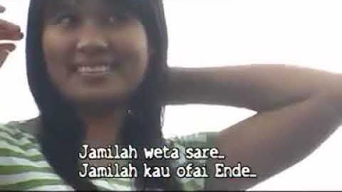 TIGER -  JAMILA 2