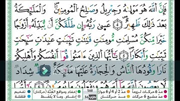 سورة التحريم كاملة مكررة اية باية للحفظ تلاوة حمزة الجزائري رواية ورش عن نافع