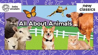 All Creatures Great and Small Compilation | Baby Einstein | Learning Show for Toddler | Kid Cartoons