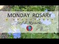 Monday Rosary • Joyful Mysteries of the Rosary 💙 Light Blue Flowers (Plumbago) in the Wind