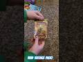 Pokémon Vivid Voltage Pack Opening! #opening #pokemon #new #pokemontcg #tcg #random #pokemontcg