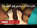 Why soil is one of the most amazing things on Earth - BBC URDU