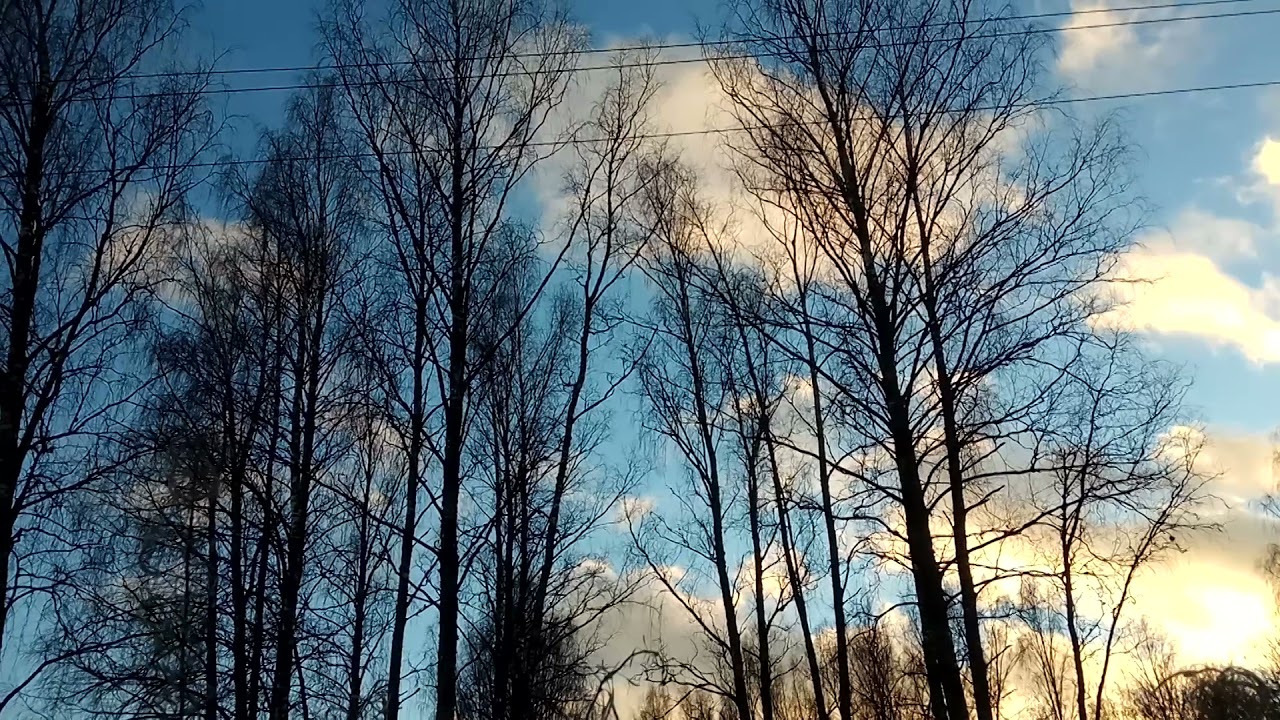 VID 20211114 155251 В святой обители природы... (Н. Рубцов)...Павел ...